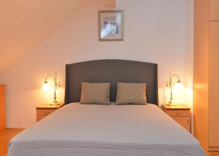 Vektor Golf * Рогашка Слатина